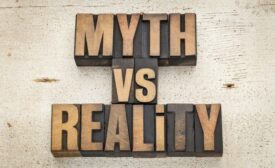 mold myths