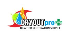 DRYOUTpro PLUS logo