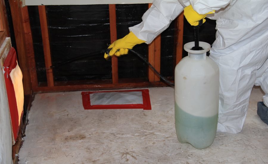 KnowHow: Work steps for mould remediation