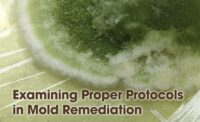 Mold Remediation