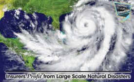 Insurers Profit from Large Scale Natural Disasters