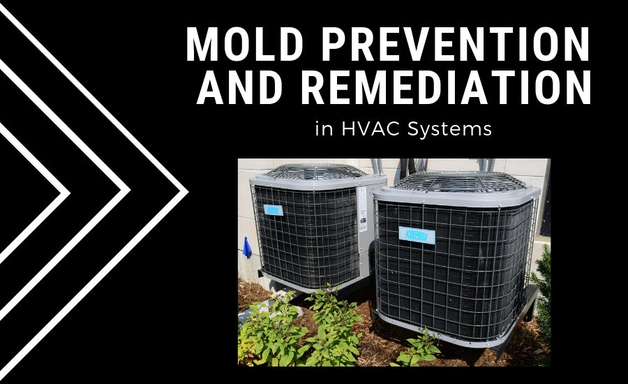 Building Mold Prevention and Control - WTI Pure Air Control Services